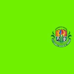 Green Deped Uniform - RS - 205 Design