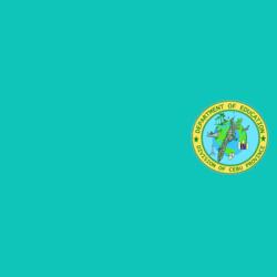 Blue Deped Uniform - RS-219 Design
