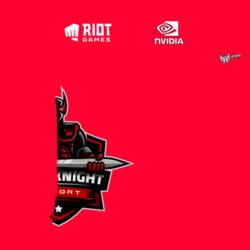 Team Dark Knight Esport - RS-202 Design