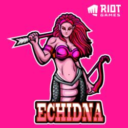 Team Echidna Esport - RS-214 Design