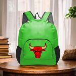 Backpack Foldable  Thumbnail