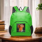 Backpack Foldable  Thumbnail