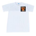 Spandex Roundneck T-Shirt Thumbnail