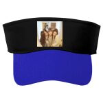 Sunvisor Cap C4 Thumbnail