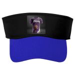 Sunvisor Cap C4 Thumbnail