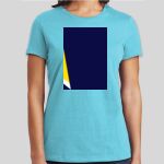 Premium Cotton CVC Roundneck T-shirt (Ladies) Thumbnail