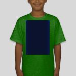 Premium Cotton CVC Roundneck T-shirt (Kids) Thumbnail