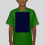 Premium Cotton CVC Roundneck T-shirt (Kids) Thumbnail