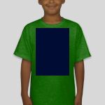 Premium Cotton CVC Roundneck T-shirt (Kids) Thumbnail