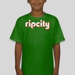 Premium Cotton CVC Roundneck T-shirt (Kids) Thumbnail