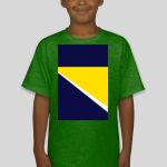 Premium Cotton CVC Roundneck T-shirt (Kids) Thumbnail