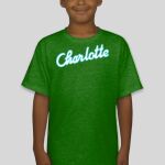 Premium Cotton CVC Roundneck T-shirt (Kids) Thumbnail