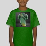 Premium Cotton CVC Roundneck T-shirt (Kids) Thumbnail
