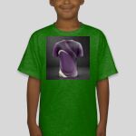 Premium Cotton CVC Roundneck T-shirt (Kids) Thumbnail