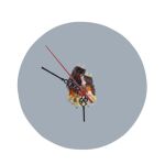 8" Round MDF Clock Thumbnail