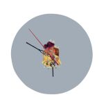 8" Round MDF Clock Thumbnail